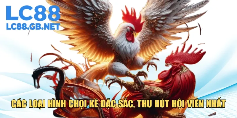 Các loại hình chọi kê nổi bật, thu hút hội viên nhất