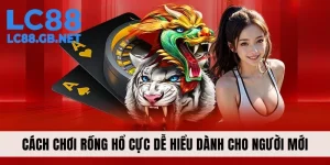 Cách Chơi Rồng Hổ Cực Dễ Hiểu Dành Cho Người Mới Bắt Đầu