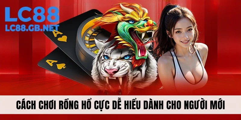 Cách Chơi Rồng Hổ Cực Dễ Hiểu Dành Cho Người Mới Bắt Đầu