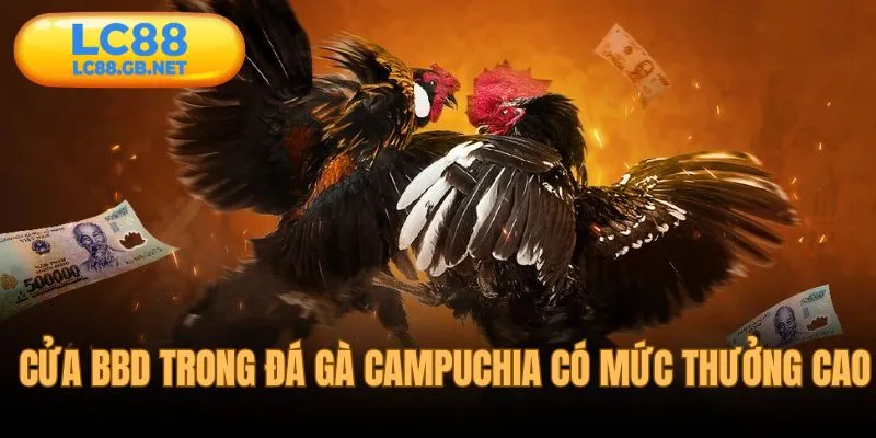 Cửa BBD trong đá gà Campuchia luôn có mức thưởng cao