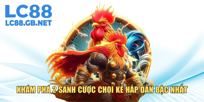 Khám phá 2 sảnh cược chọi kê hấp dẫn, uy tín bậc nhất