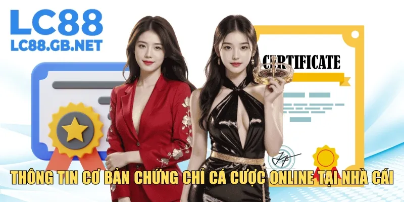 Thông tin cơ bản về chứng chỉ cá cược online