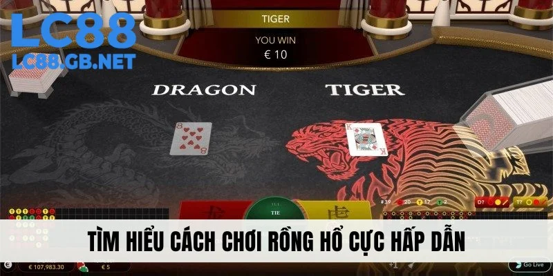 Tìm hiểu rõ luật chơi và cách chơi Rồng Hổ