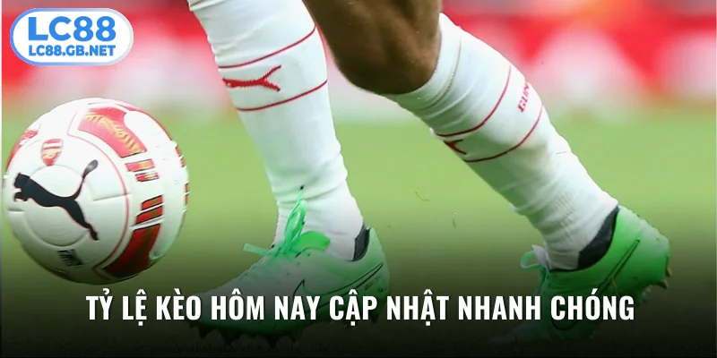 Tỷ Lệ Kèo Hôm Nay Cập Nhật Nhanh Chóng & Chuẩn Xác 100%